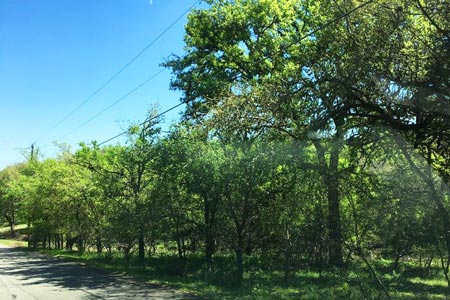 homes for sale san marcos tx real estate the damron group