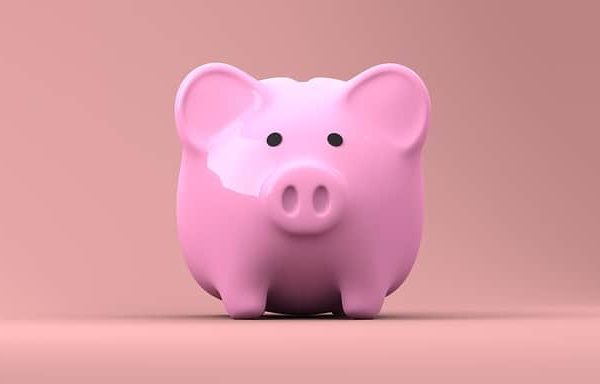 Pink piggy bank