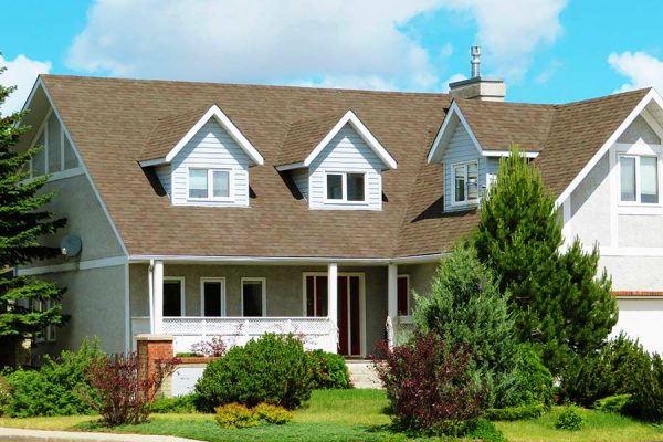 House with trees