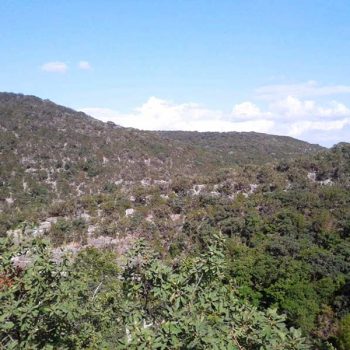 Scenic Texas Hill Country landscape