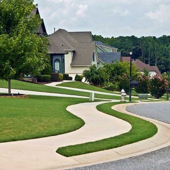 Curvy Sidewalk in neighborhood