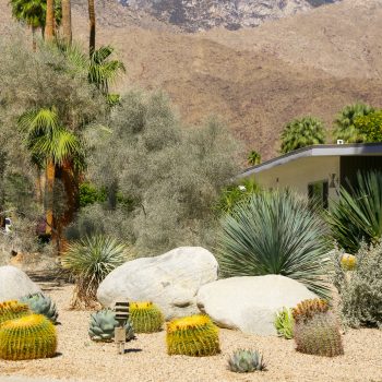 Home with a yard that has been Xeriscaped