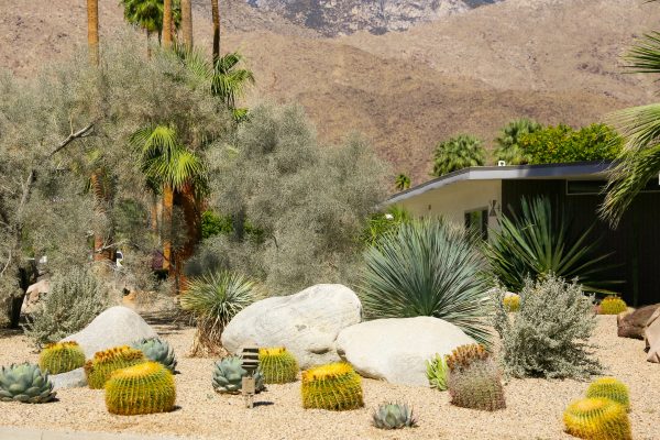 Home with a yard that has been Xeriscaped